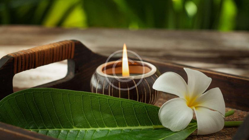 Collagen chất dinh dưỡng quan trọng cho da