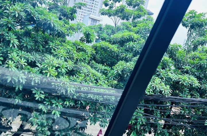 Lợi ích của ánh nắng mặt trời đối với làn da trên cơ thể con người