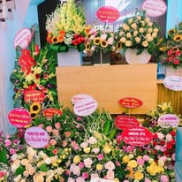 Những ai là người nên học các khóa này