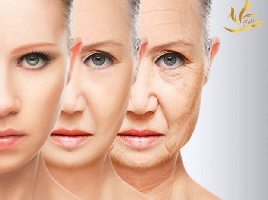 Hiểu sâu về lão hóa da là gì ?